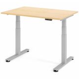 Steh-Sitz-Schreibtisch COMFORT silver | elektrisch höhenverstellbar | B120 x T80 cm | Ahorn