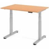 Steh-Sitz-Schreibtisch COMFORT silver | elektrisch höhenverstellbar | B120 x T80 cm | Buche