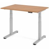 Steh-Sitz-Schreibtisch COMFORT silver | elektrisch höhenverstellbar | B120 x T80 cm | Nussbaum hell