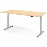 Steh-Sitz-Schreibtisch COMFORT silver | elektrisch höhenverstellbar | B200 x T100 cm | Ahorn