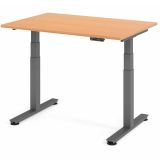 Steh-Sitz-Schreibtisch COMFORT graphit | elektrisch höhenverstellbar | B120 x T80 cm | Buche