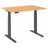 Sitz-Steh-Schreibtisch BUSINESS graphit | elektrisch h�henverstellbar | B120 x T80 cm | Buche