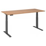 Sitz-Steh-Schreibtisch BUSINESS graphit | elektrisch höhenverstellbar | B180 x T80 cm | Nussbaum hel