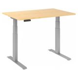 Sitz-Steh-Schreibtisch BUSINESS silver | elektrisch höhenverstellbar | B120 x T80 cm | Ahorn