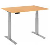 Sitz-Steh-Schreibtisch BUSINESS silver | elektrisch h�henverstellbar | B120 x T80 cm | Buche 