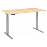 Sitz-Steh-Schreibtisch BUSINESS silver | elektrisch höhenverstellbar | B160 x T80 cm | Ahorn
