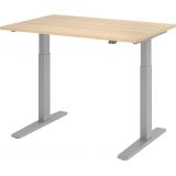 Steh-Sitz-Schreibtisch ECONOMY silver | elektrisch höhenverstellbar | B120 x T80 cm | Eiche