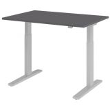 Steh-Sitz-Schreibtisch ECONOMY silver | elektrisch höhenverstellbar | B120 x T80 cm | Graphit