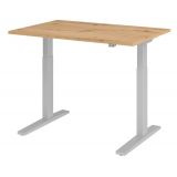 Steh-Sitz-Schreibtisch ECONOMY silver | elektrisch höhenverstellbar | B120 x T80 cm | Eiche Rustikal