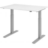 Steh-Sitz-Schreibtisch ECONOMY silver | elektrisch höhenverstellbar | B120 x T80 cm | Weiß classic
