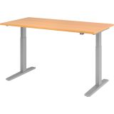 Steh-Sitz-Schreibtisch ECONOMY silver | elektrisch h�henverstellbar | B160 x T80 cm | Buche