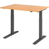 Sitz-Steh-Schreibtisch ECONOMY graphit | elektrisch höhenverstellbar | B120 x T80 cm | Buche