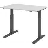 Sitz-Steh-Schreibtisch ECONOMY graphit | elektrisch höhenverstellbar | B120 x T80 cm | Lichtgrau