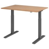 Sitz-Steh-Schreibtisch ECONOMY graphit | elektrisch höhenverstellbar | B120 x T80 cm | Nussbaum hell