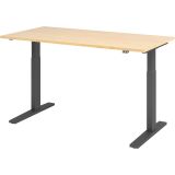 Sitz-Steh-Schreibtisch ECONOMY graphit | elektrisch höhenverstellbar | B160 x T80 cm | Ahorn