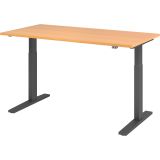 Sitz-Steh-Schreibtisch ECONOMY graphit | elektrisch höhenverstellbar | B160 x T80 cm | Buche