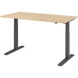 Sitz-Steh-Schreibtisch ECONOMY graphit | elektrisch höhenverstellbar | B160 x T80 cm | Eiche