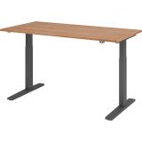 Sitz-Steh-Schreibtisch ECONOMY graphit | elektrisch höhenverstellbar | B160 x T80 cm | Nussbaum hell