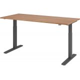Sitz-Steh-Schreibtisch ECONOMY graphit | elektrisch höhenverstellbar | B180 x T80 cm | Nussbaum hell