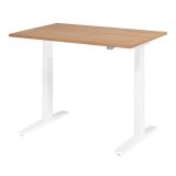 Sitz-Steh-Schreibtisch ECONOMY weiss | elektrisch höhenverstellbar | B120 x T80 cm | Nussbaum hell