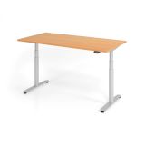 Steh-Sitz-Schreibtisch LEVEL UP silver | elektrisch höhenverstellbar | B160 x T80 cm | Buche