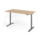 Steh-Sitz-Schreibtisch LEVEL UP graphit | elektrisch h�henverstellbar | B160 x T80 cm | Eiche