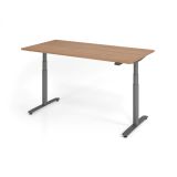Steh-Sitz-Schreibtisch LEVEL UP graphit | elektrisch h�henverstellbar | B160 x T80 cm | Nussbaum hel