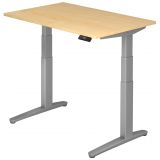 Steh-Sitz-Schreibtisch PREMIUM silver | elektrisch höhenverstellbar | B120 x T80 cm | Ahorn