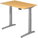 Steh-Sitz-Schreibtisch PREMIUM silver | elektrisch höhenverstellbar | B120 x T80 cm | Buche