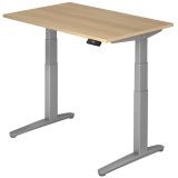 Steh-Sitz-Schreibtisch PREMIUM silver | elektrisch höhenverstellbar | B120 x T80 cm | Eiche
