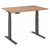 Sitz-Steh-Schreibtisch BUSINESS graphit | elektrisch h�henverstellbar | B120 x T80 cm | Nussbaum hel