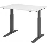 Sitz-Steh-Schreibtisch ECONOMY graphit | elektrisch h�henverstellbar | B120 x T80 cm | Wei� classic