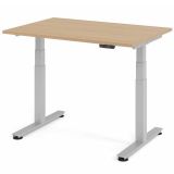 Steh-Sitz-Schreibtisch COMFORT silver | elektrisch h�henverstellbar | B120 x T80 cm | Eiche