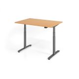 Steh-Sitz-Schreibtisch LEVEL UP graphit | elektrisch h�henverstellbar | B120 x T80 cm | Buche