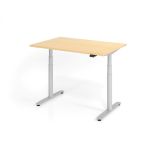 Steh-Sitz-Schreibtisch LEVEL UP silver | elektrisch h�henverstellbar | B120 x T80 cm | Ahorn
